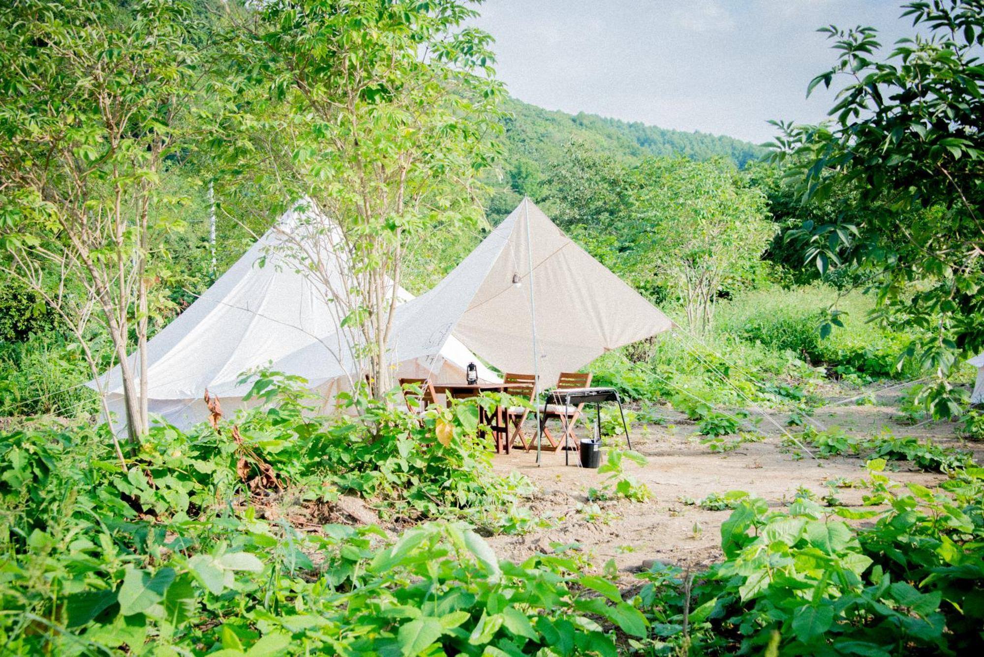 Hotel Yoichi Vineyard Glamping Exterior foto