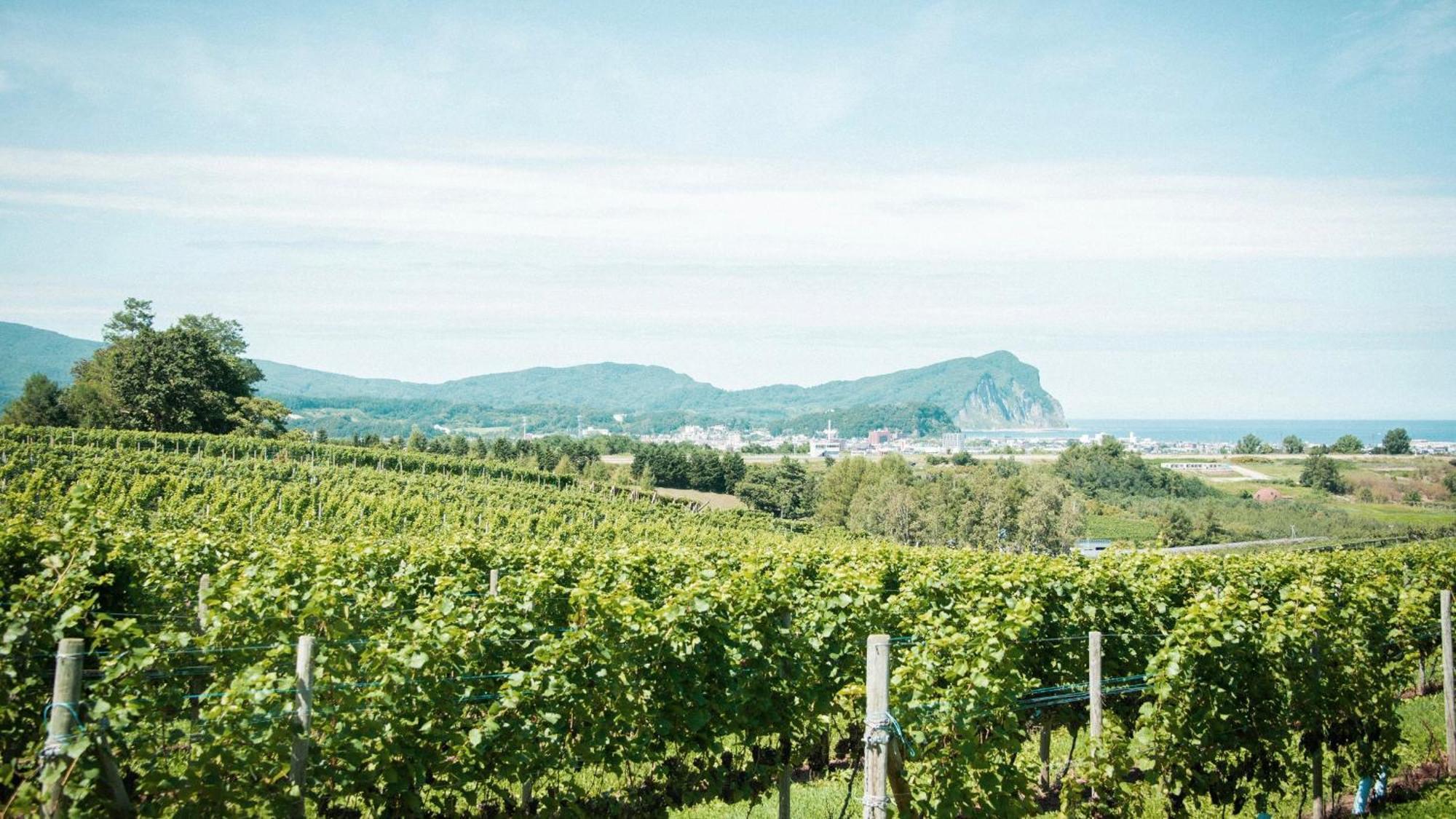 Hotel Yoichi Vineyard Glamping Exterior foto